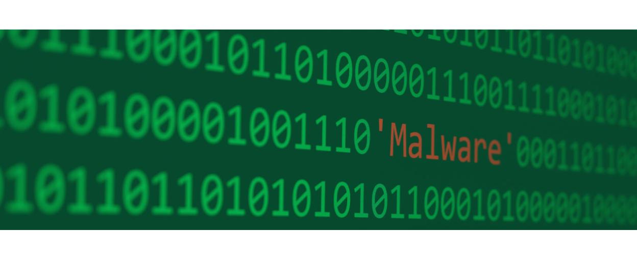 Cómo Evitar el Malware